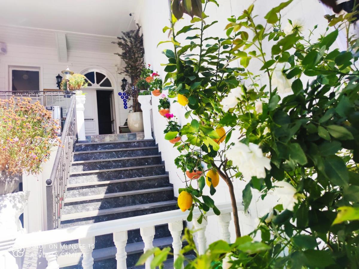 Solomon'S Mansion Hotel Istanbul Eksteriør billede